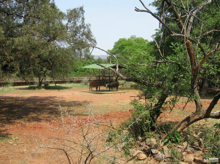  - Day-trip to the Pretoria Zoo