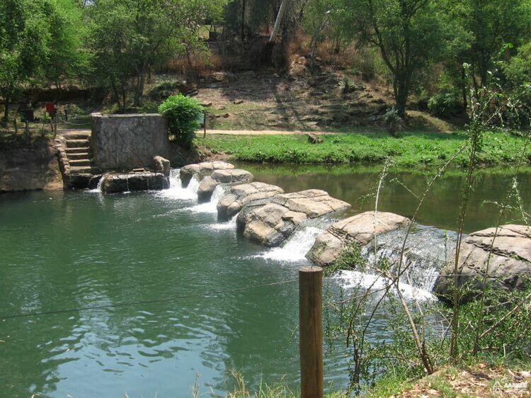  - Day-trip to the Pretoria Zoo