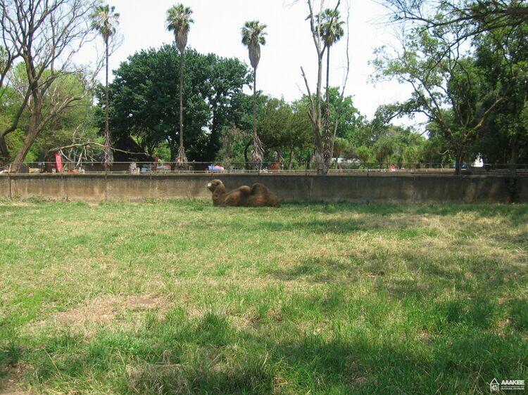  - Day-trip to the Pretoria Zoo