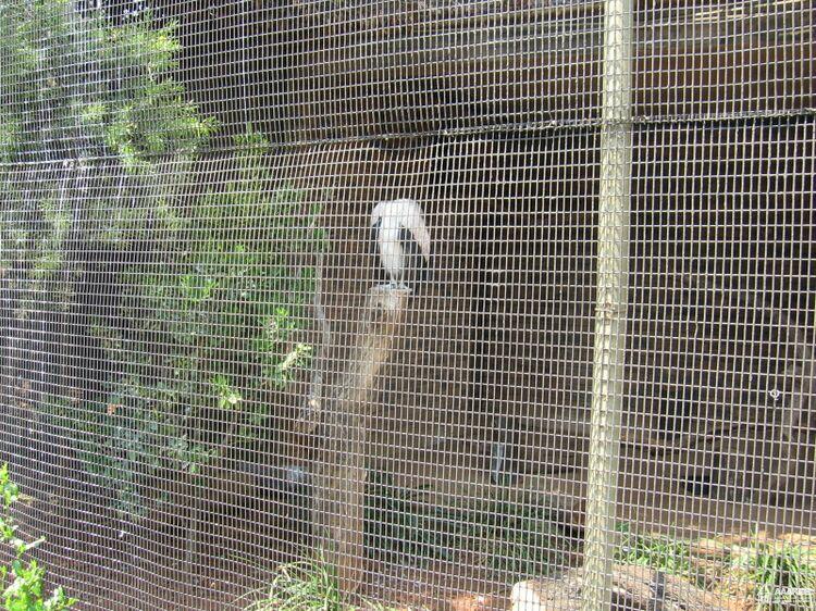  - Day-trip to the Pretoria Zoo