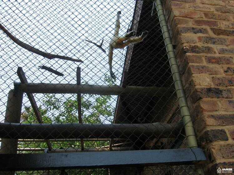  - Day-trip to the Pretoria Zoo