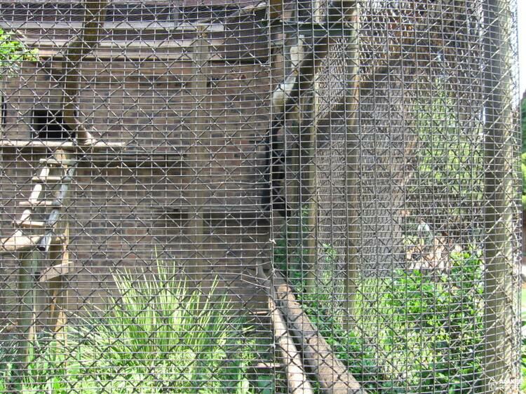  - Day-trip to the Pretoria Zoo