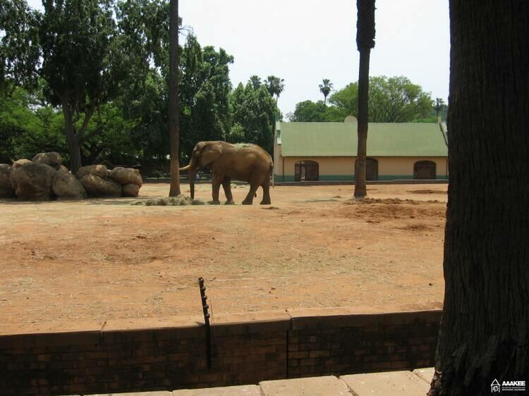  - Day-trip to the Pretoria Zoo