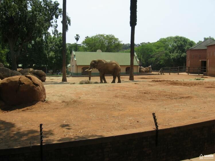  - Day-trip to the Pretoria Zoo