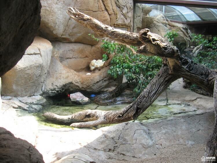  - Day-trip to the Pretoria Zoo