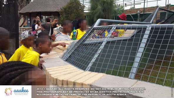  - Ithembelihle Lsen School to Lory Park Animal & Owl Sanctuary