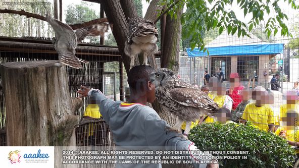  - Ithembelihle Lsen School to Lory Park Animal & Owl Sanctuary