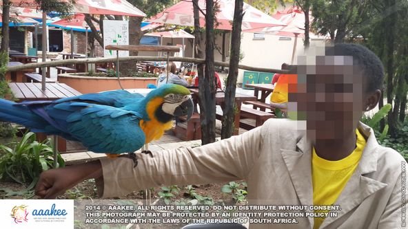  - Ithembelihle Lsen School to Lory Park Animal & Owl Sanctuary